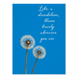 Póster Como un Dandelion florece valientemente donde esté