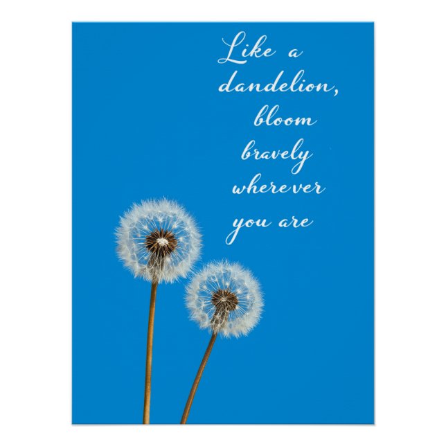 Póster Como un Dandelion florece valientemente donde esté (Anverso)