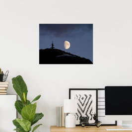 Póster Compañero solitario