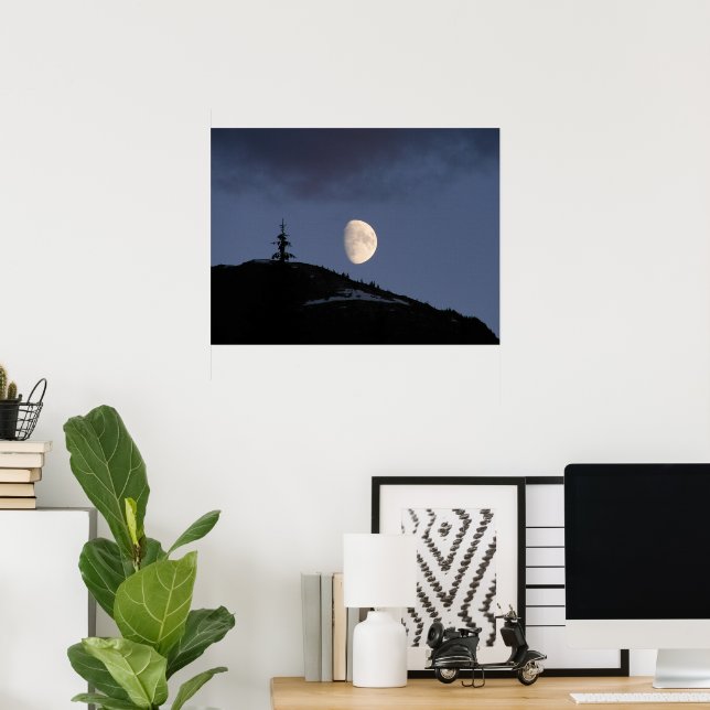 Póster Compañero solitario (Oficina en casa)