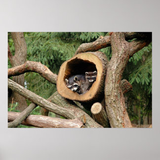 Póster Compañía de dos