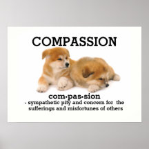 COMPASIÓN - Poster vocabulario
