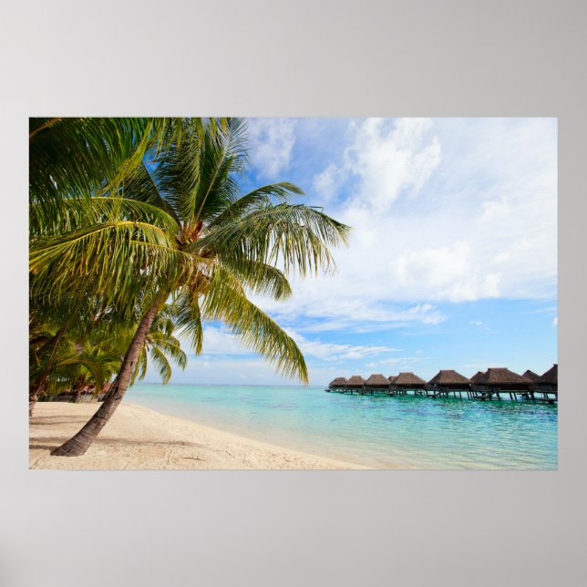 Póster Complejo exótico (Frente)