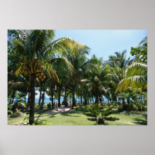 Póster Complejo playero