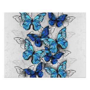 Póster Composición de las mariposas blancas y azules