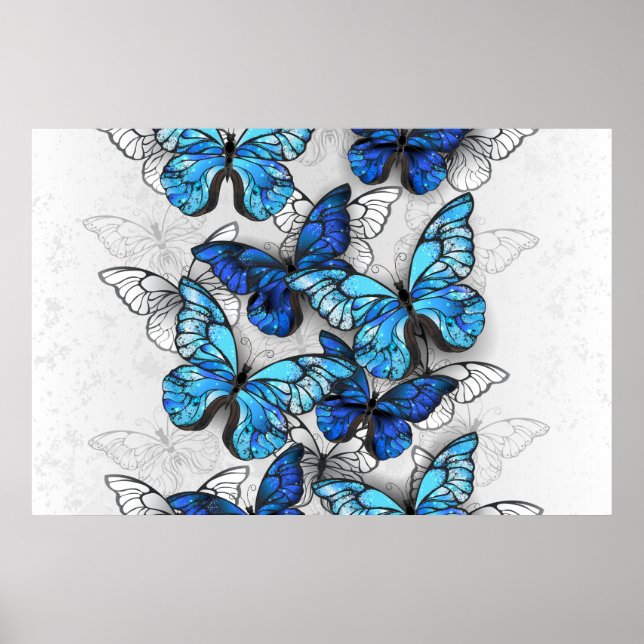 Póster Composición de las mariposas blancas y azules (Frente)