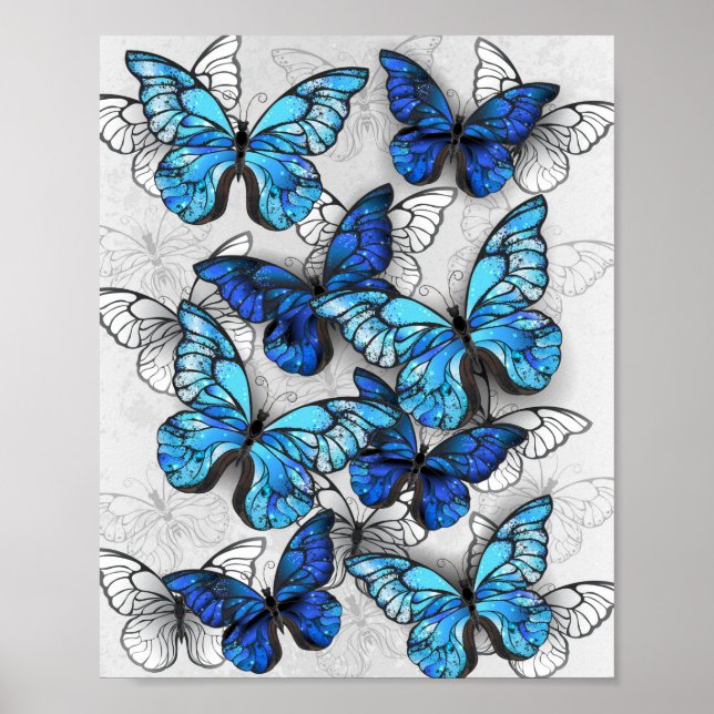 Póster Composición de las mariposas blancas y azules (Frente)