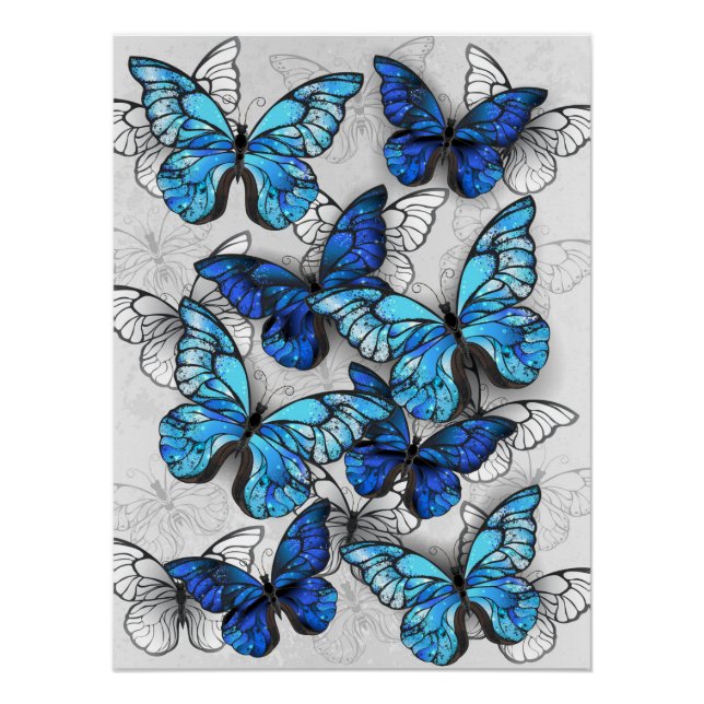 Póster Composición de las mariposas blancas y azules (Anverso)