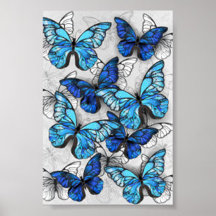Póster Composición de las mariposas blancas y azules