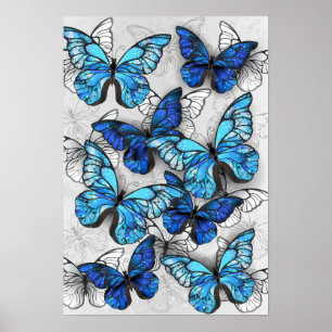 Póster Composición de las mariposas blancas y azules