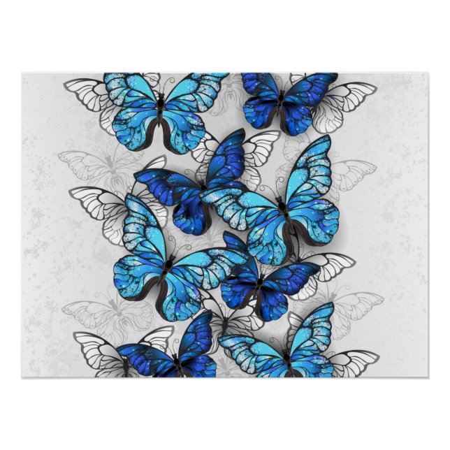 Póster Composición de las mariposas blancas y azules (Anverso)
