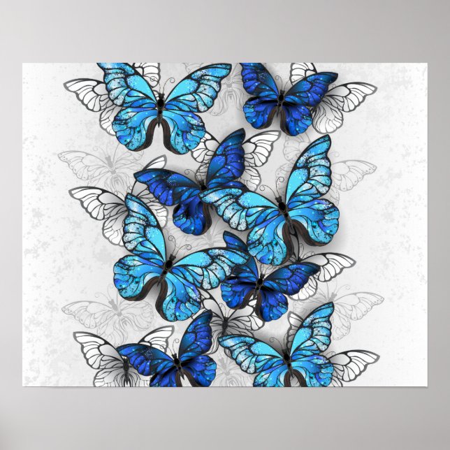 Póster Composición de las mariposas blancas y azules (Frente)