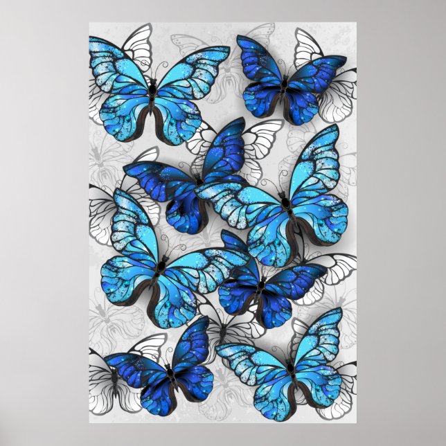 Póster Composición de las mariposas blancas y azules (Frente)