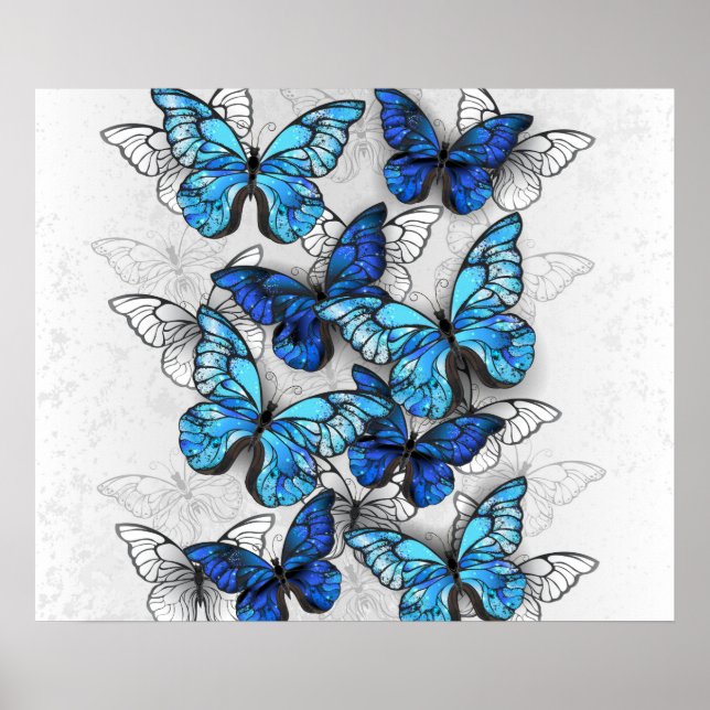 Póster Composición de mariposas blancas y azules (Frente)