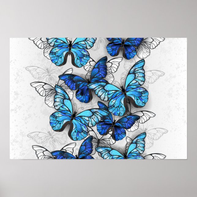 Póster Composición de mariposas blancas y azules (Frente)
