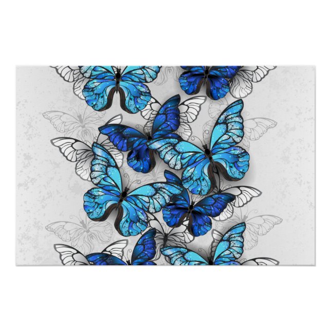 Póster Composición de mariposas blancas y azules (Anverso)