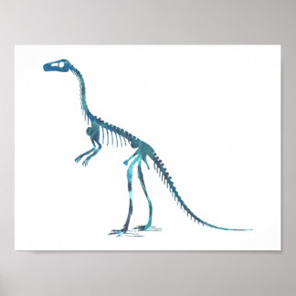 Póster compsognathus skeleton