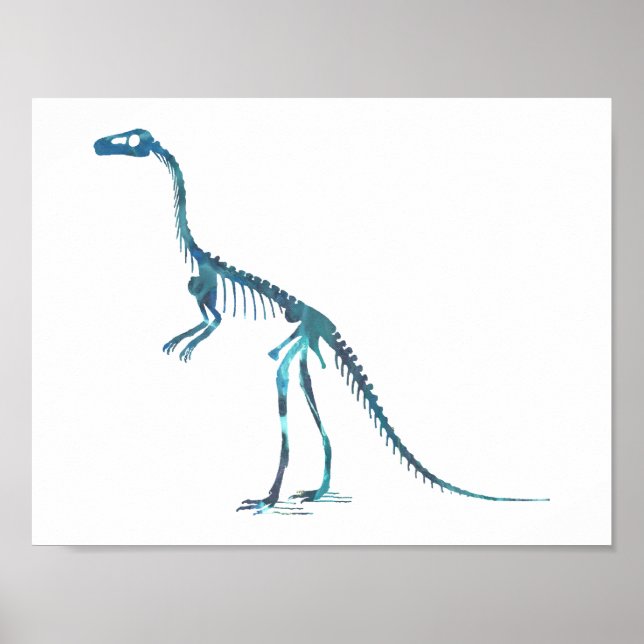 Póster compsognathus skeleton (Frente)