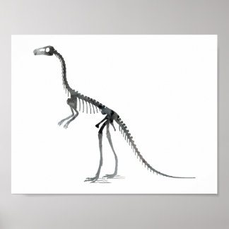 Póster compsognathus skeleton