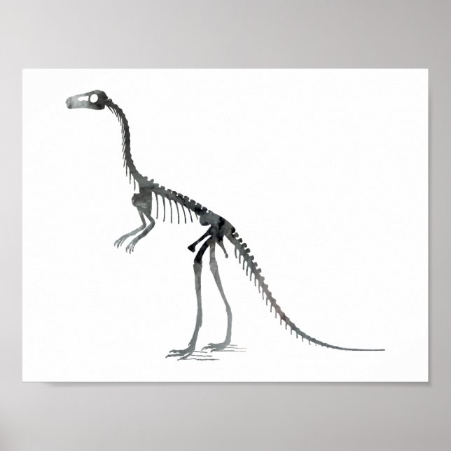 Póster compsognathus skeleton (Frente)