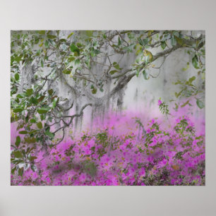 Póster Compuesto digital de azaleas y árbol de magnolia