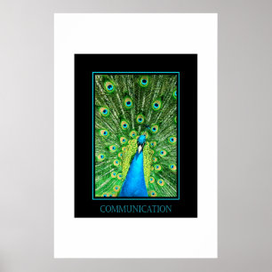 Póster Comunicación