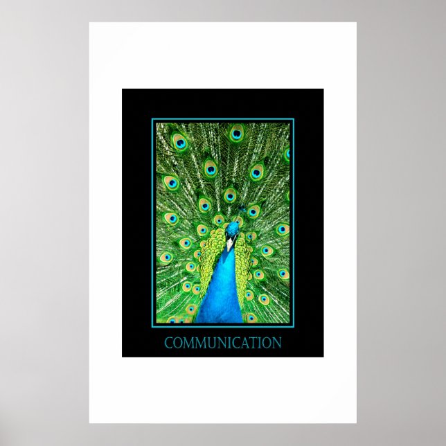 Póster Comunicación (Frente)