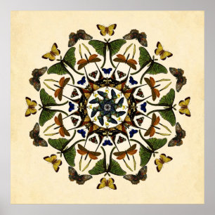 Poster con alas del arte del caleidoscopio de la