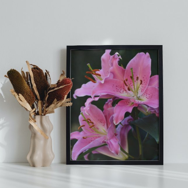 Póster Con Encanto Lirio Rosa Blooms Floral Glosario (In Situ)