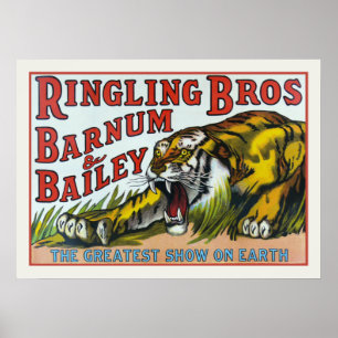Poster con la impresión del tigre del circo del