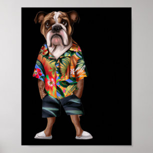 Póster Con Un Hawai Y Cortos 1