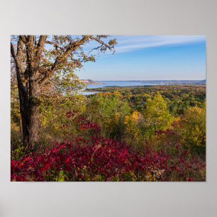 Póster con vistas al pino del lago desde el parque estata