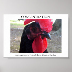 Póster Concentración