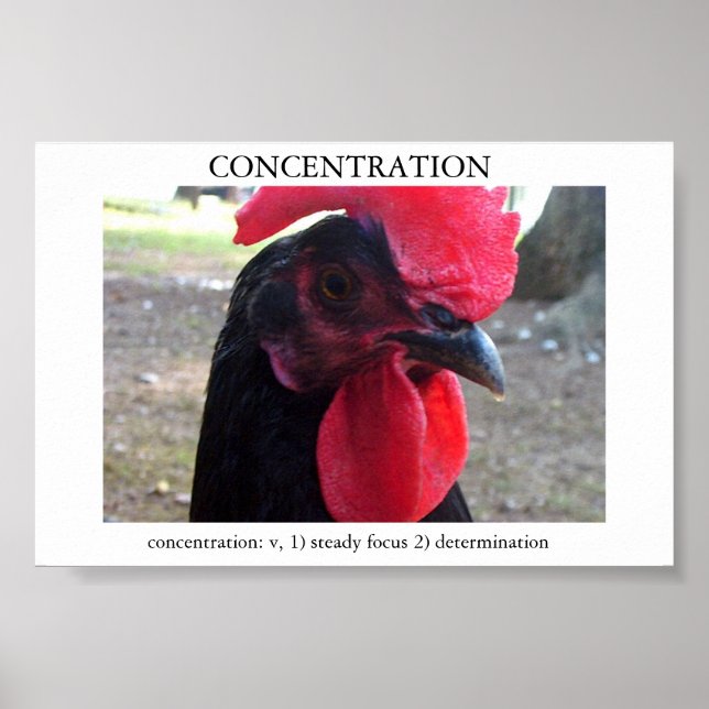 Póster Concentración (Frente)
