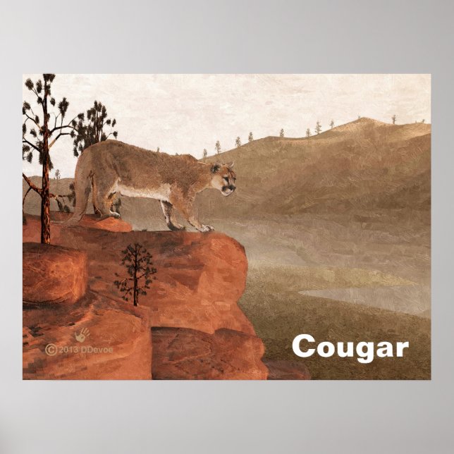 Póster Concentración - Cougar (Frente)