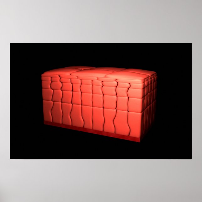 Póster Concepto De Epitelio Escamoso Estreatizado 1 (Frente)