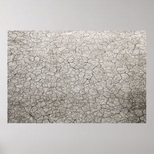 Póster Concepto de vermífugo global: tierra quemada y que