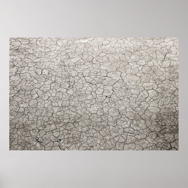 Póster Concepto de vermífugo global: tierra quemada y que (Frente)