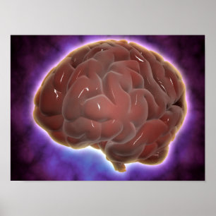 Póster Conceptual Image Of Human Brain 6