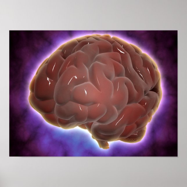 Póster Conceptual Image Of Human Brain 6 (Frente)