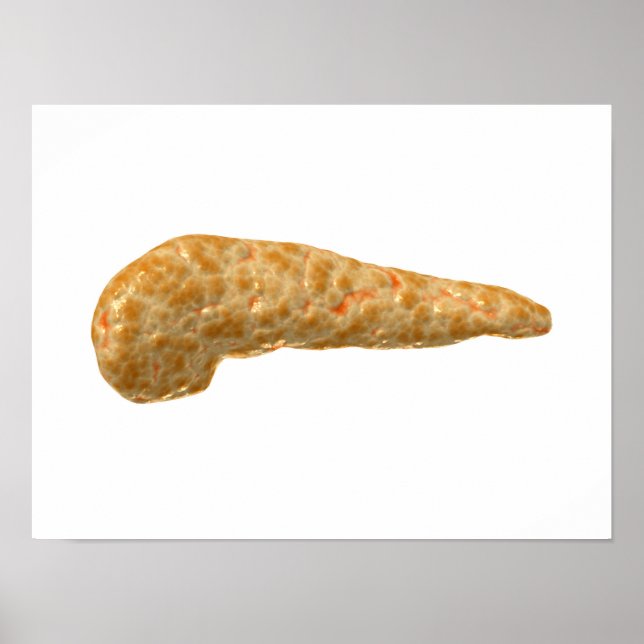 Póster Conceptual Image Of Human Pancreas (Frente)