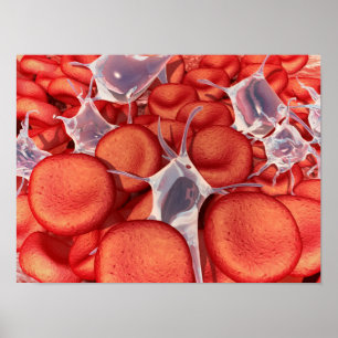 Póster Conceptual Image Of Red Blood Cells 2