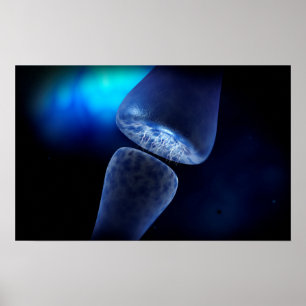 Póster Conceptual Image Of Synapse Of Neuron Inside