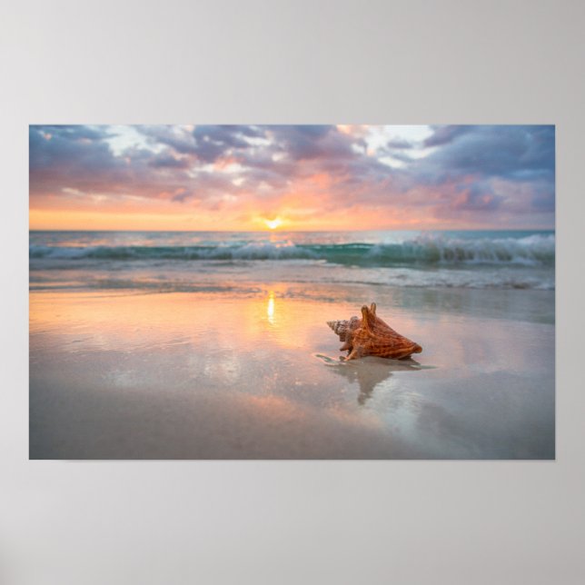 Póster Conch Shell en la playa | Jamaica (Frente)