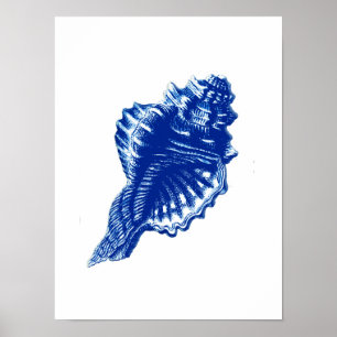 Póster Concha, azul índigo y blanco