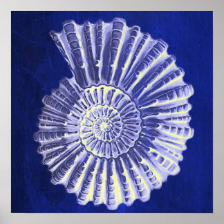 Póster concha blanca blanca vintage de la costa