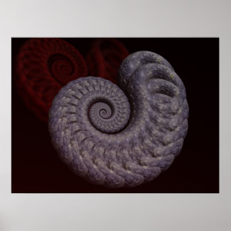 Póster Concha de ammonite