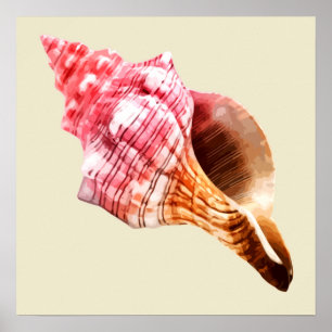 Póster Concha de arena rosa