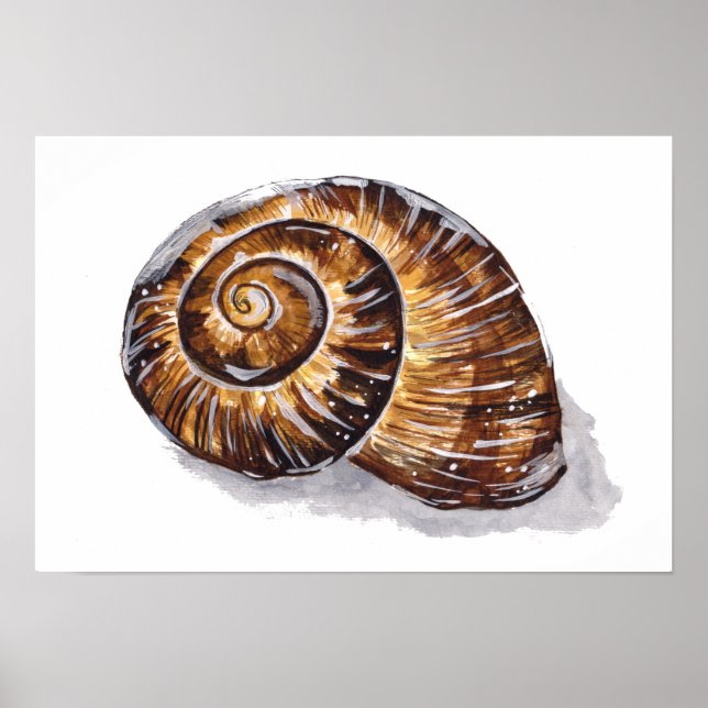 Póster Concha de caracol marrón (Frente)