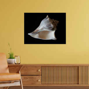 Póster Concha de mar